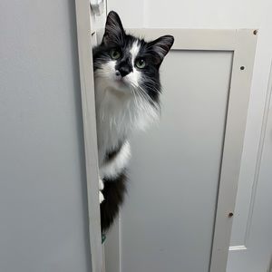 Meet your Posher, Kimberly